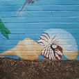 Tropical Beach Mural